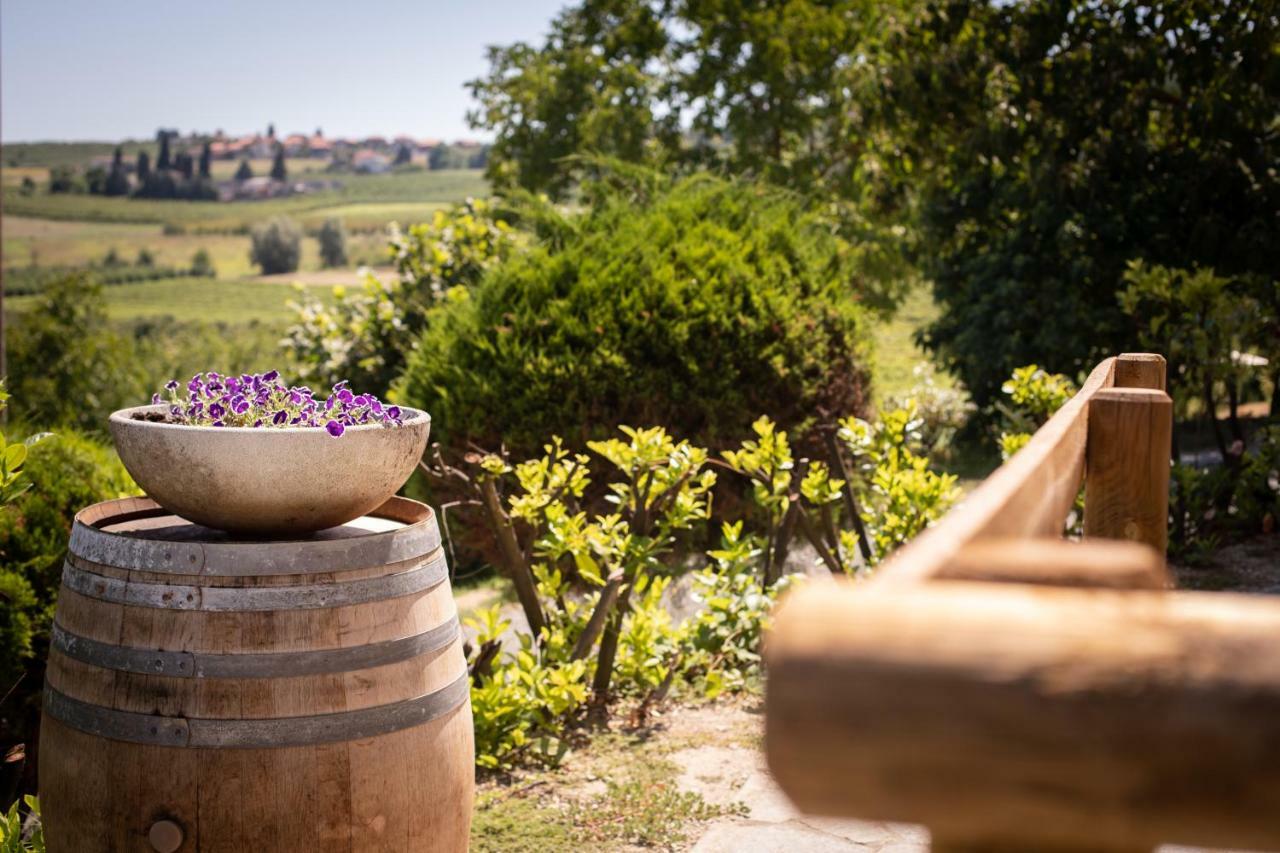 Villa Vinory - Tenuta Il Sogno San Marzano Oliveto Ngoại thất bức ảnh