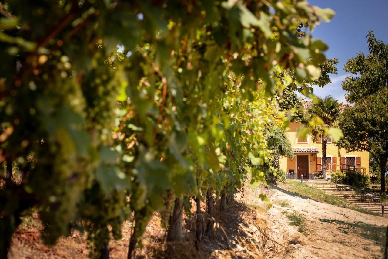 Villa Vinory - Tenuta Il Sogno San Marzano Oliveto Ngoại thất bức ảnh